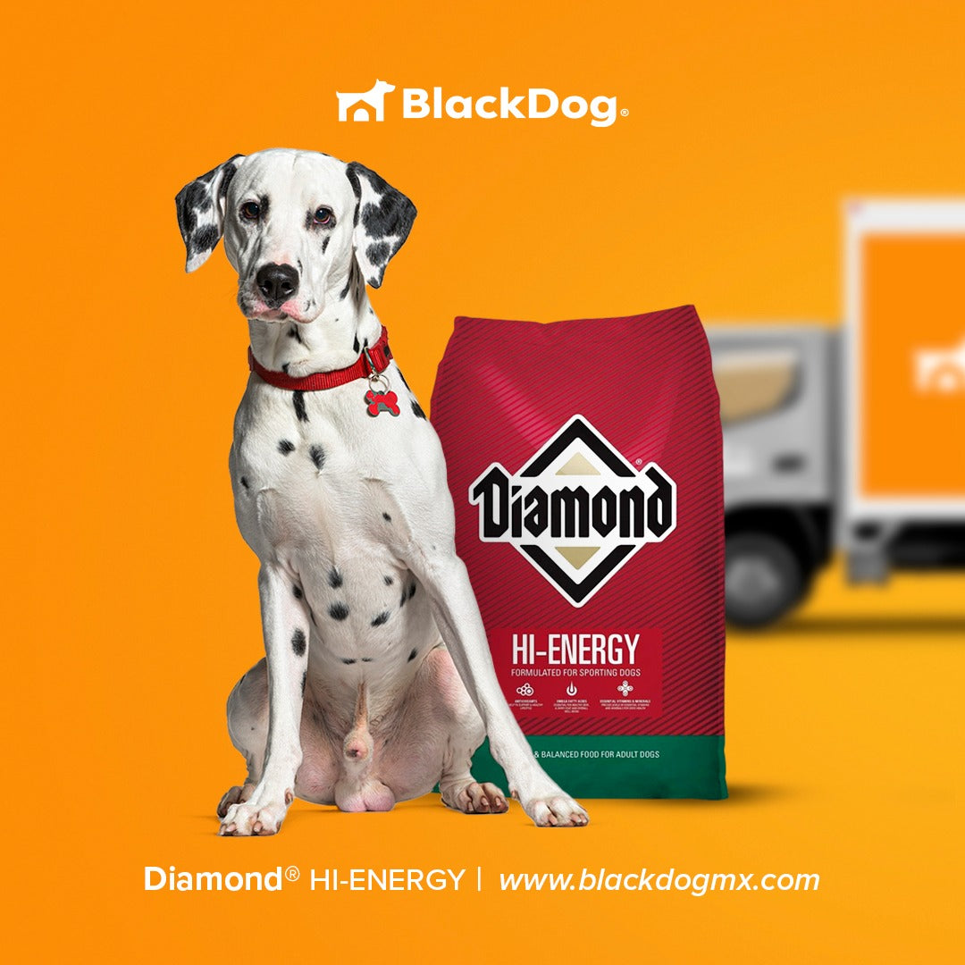 Diamond High Energy / Alta Energía Black Dog Shop
