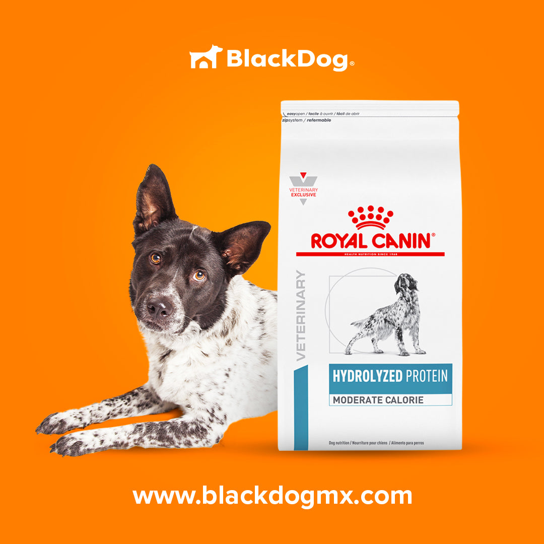 Royal Canin Hydrolyzed Protein Moderate Calorie / Proteína Hidrolizada