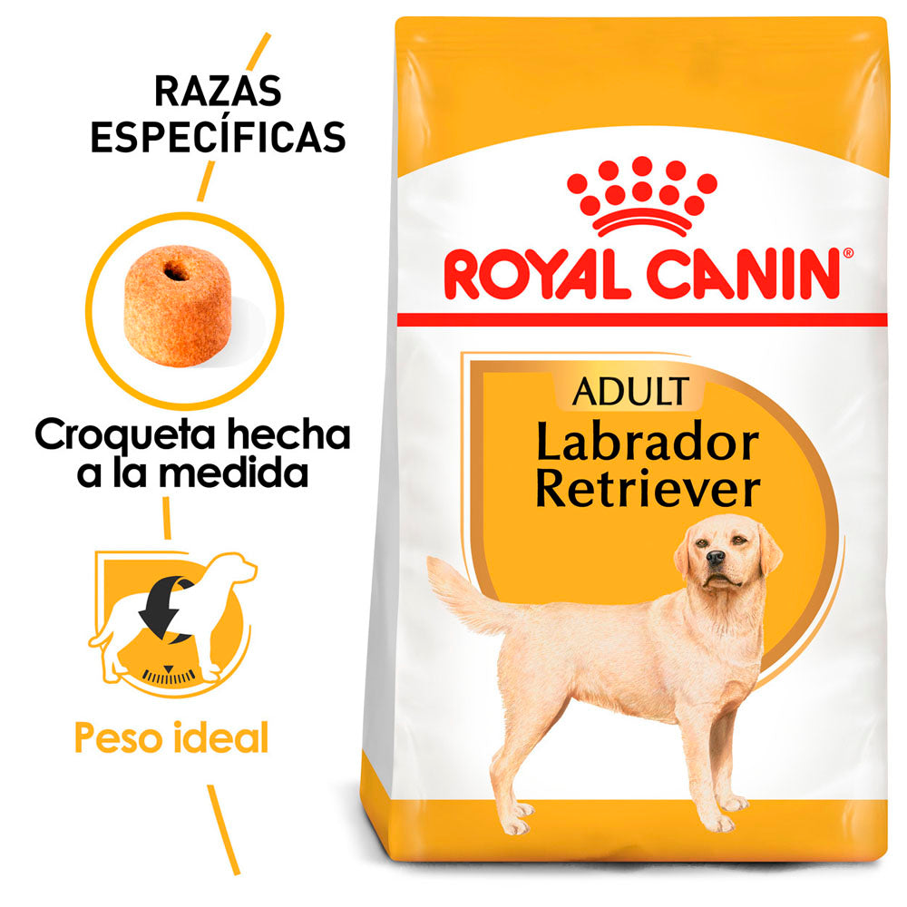 Royal Canin Labrador Retriever Adulto Black Dog Shop