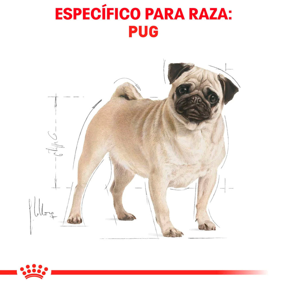 Pug products store