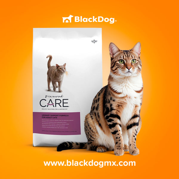 Diamond Care Urinary Support / Cuidado Urinario Gato
