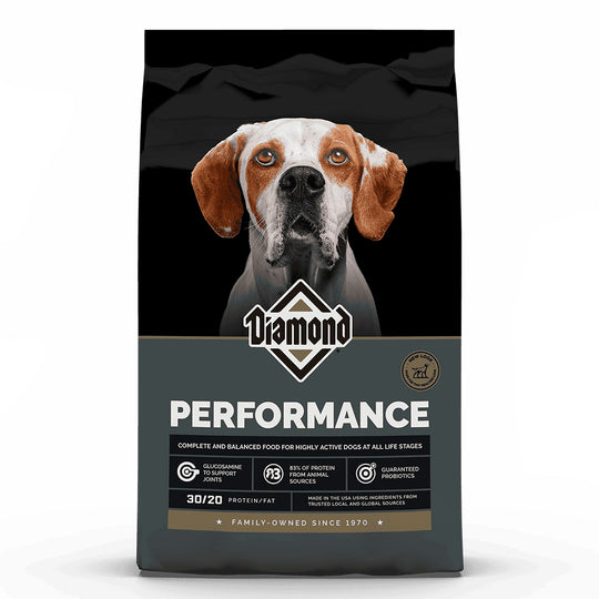 Diamond Performance / Perro Alto Rendimiento