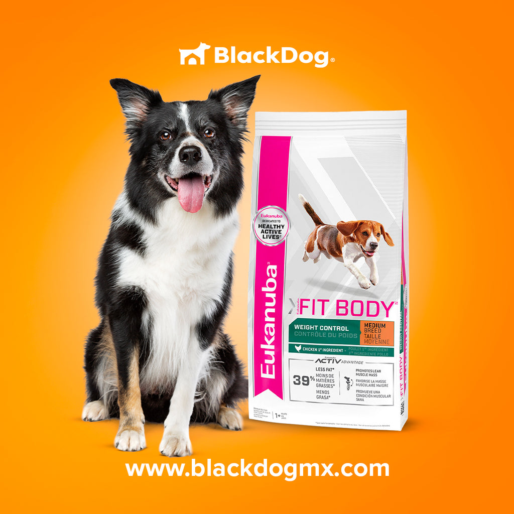 Eukanuba Control de Peso Raza Mediana Fit Body Medium Breed