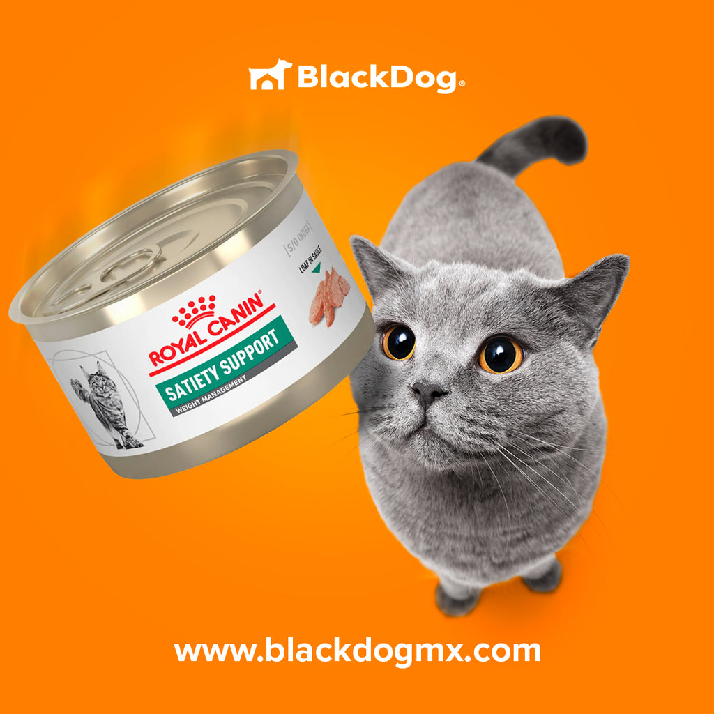 Satiety support hot sale cat food