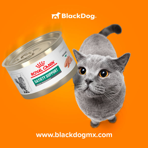 Royal Canin Satiety Support Feline / Obesidad, Saciedad y Constipación - Alimento húmedo