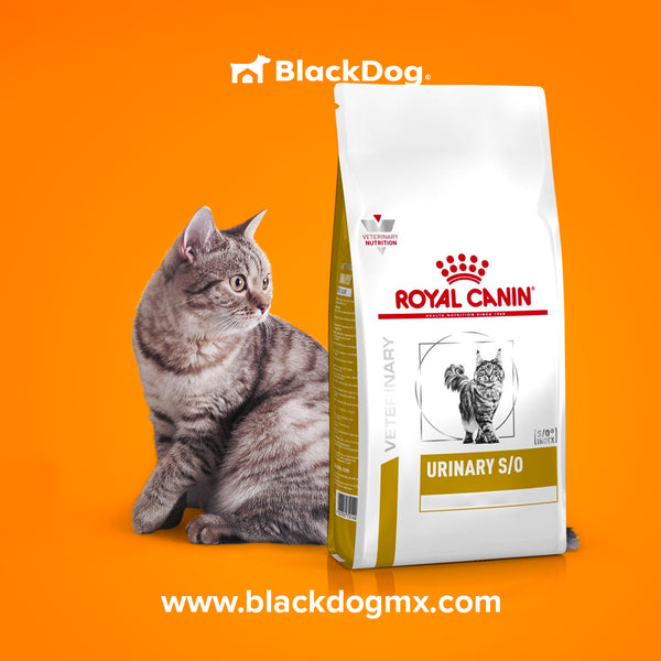Royal Canin Urinary SO Felino / Vías Urinarias Gato