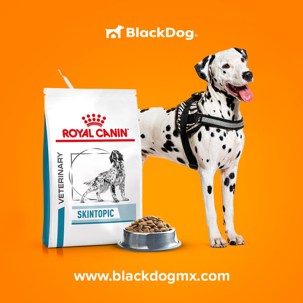 Royal Canin Skin Topic / Dermatitis y Sensibilidad de la piel.