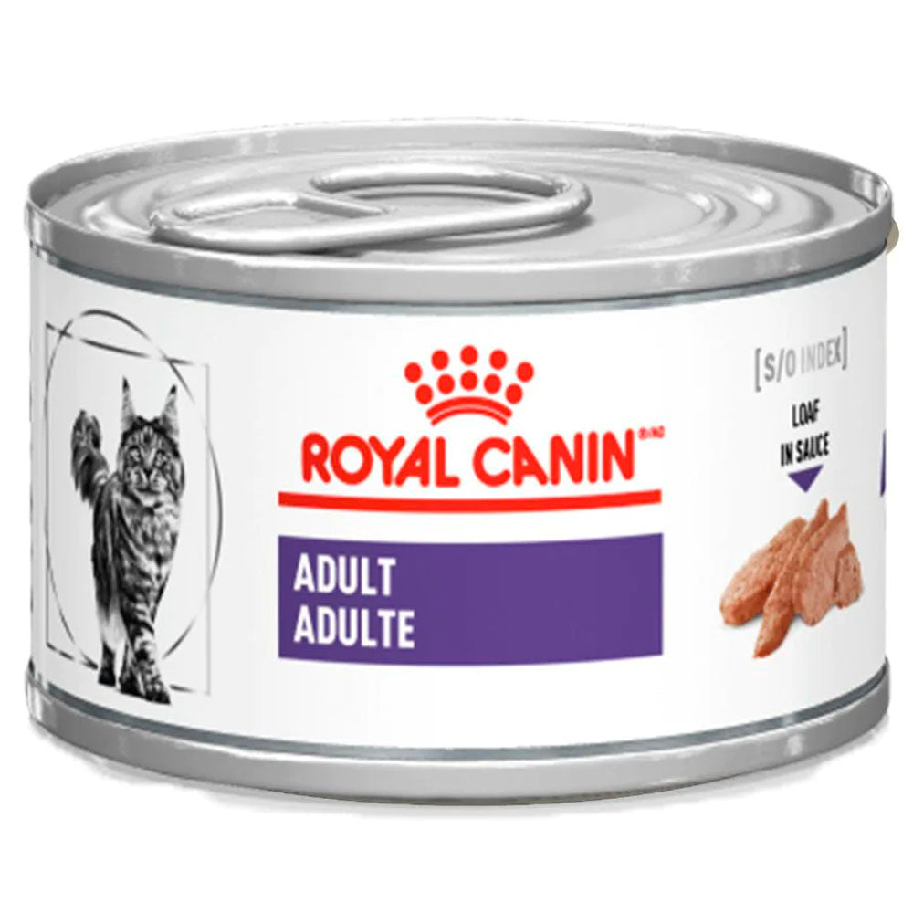 Royal Canin Gato Adulto / Adult Feline - Alimento Húmedo