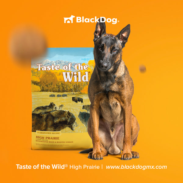 Taste Of The Wild High Prairie Canine / Adulto Bisonte y Venado