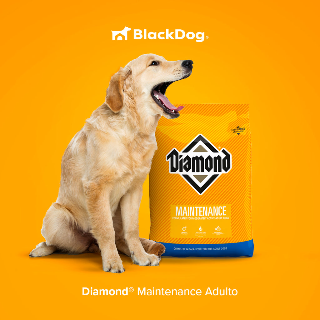 Diamond Maintenance Dog Mantenimiento Perro Black Dog Shop