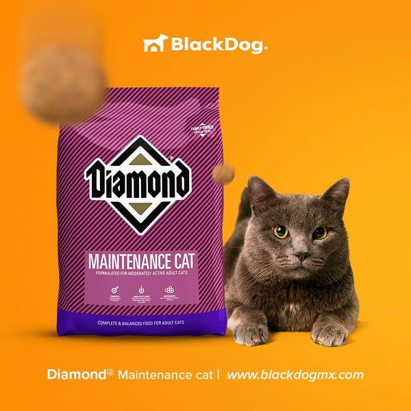 Diamond Maintenance Cat / Mantenimiento Gato