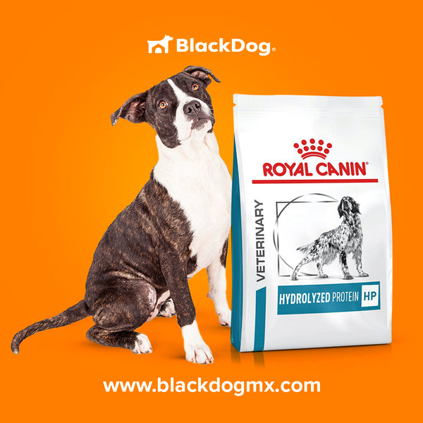 Royal Canin Hydrolyzed Protein HP Canine / Proteína Hidrolizada HP Canino