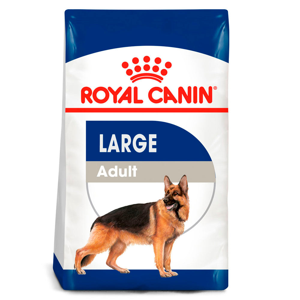 Royal Canin Adulto Raza Grande - Large Adult – Black Dog Shop