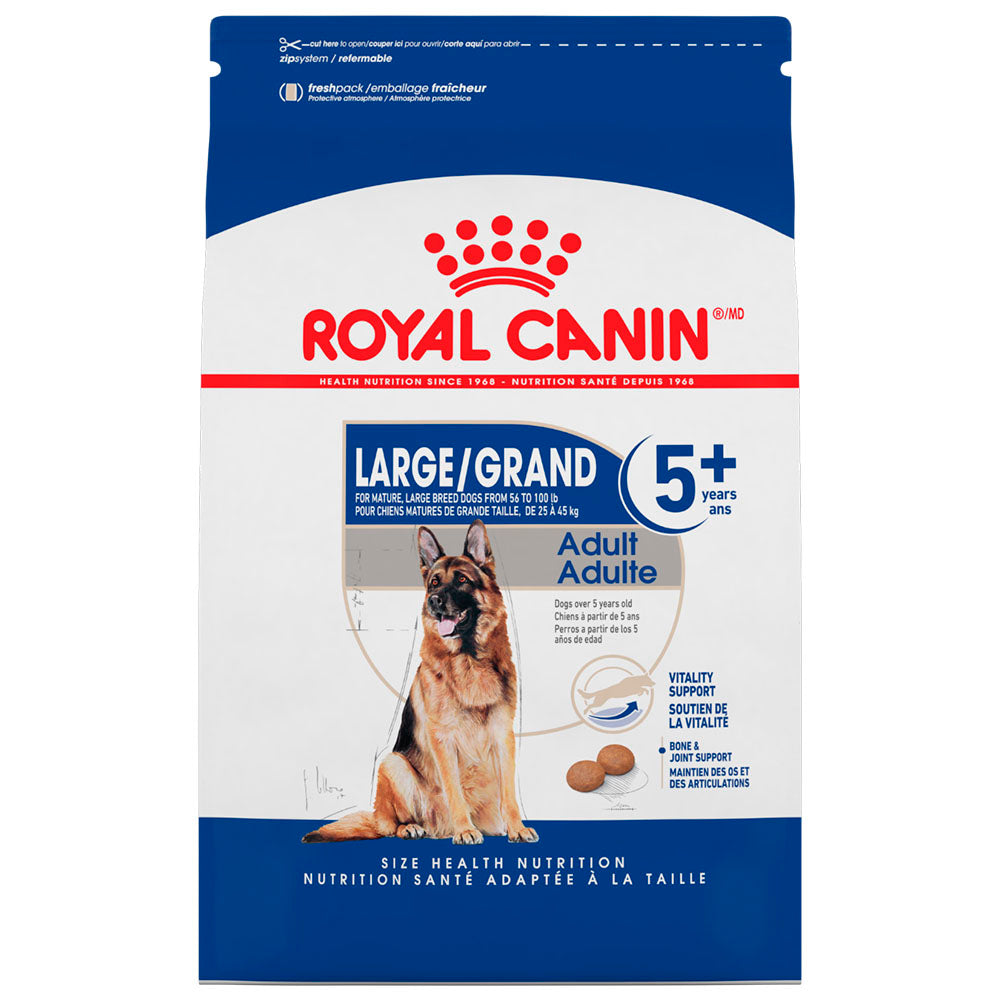 Royal Canin Adulto Raza Grande 5+ / Large Adult 5+ – Black Dog Shop