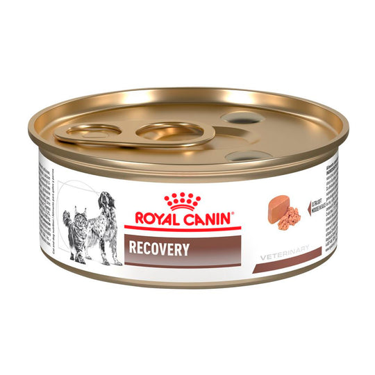 Royal Canin Recovery / Cuidados Intensivos y Convalecencia - Lata