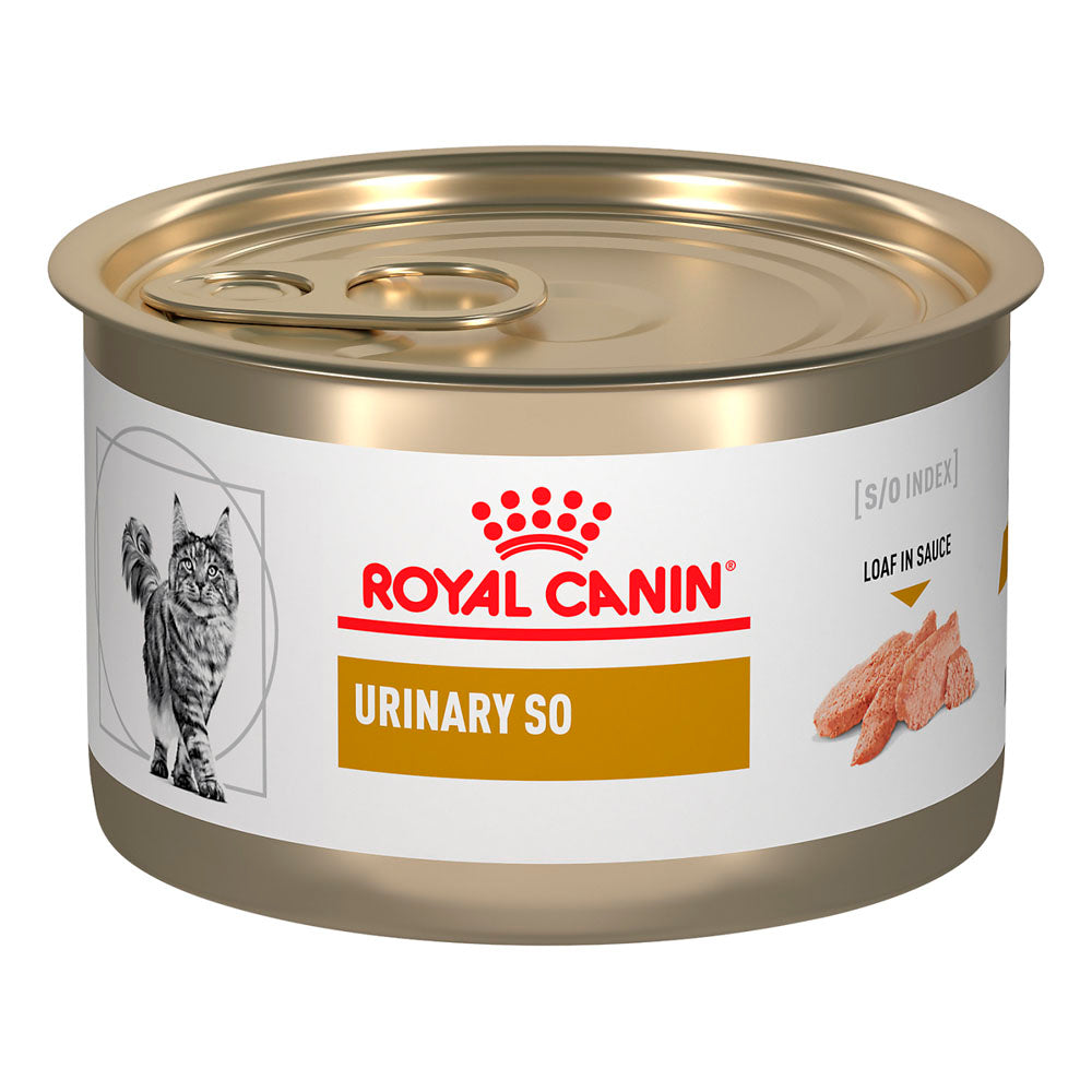 Royal Canin Urinary SO Feline / Vías Urinarias Alimento Húmedo Gato
