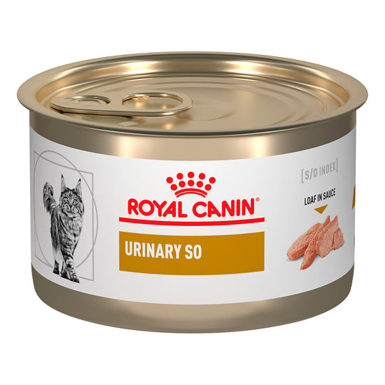 Royal Canin Urinary SO Feline / Vías Urinarias Alimento Húmedo Gato